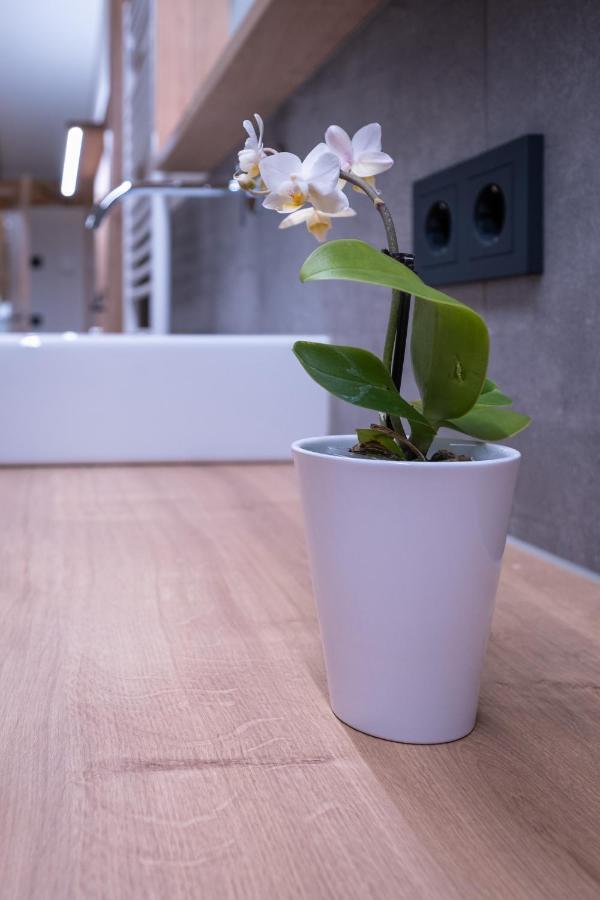 Apartment Haus Schoenwies Alpbach Extérieur photo